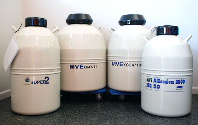 mve液氮罐 mve液氮罐