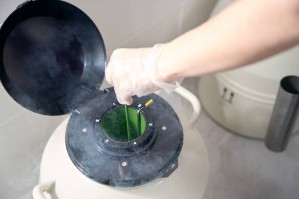 mve液氮罐 mve液氮罐